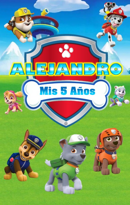 PAW PATROL 2